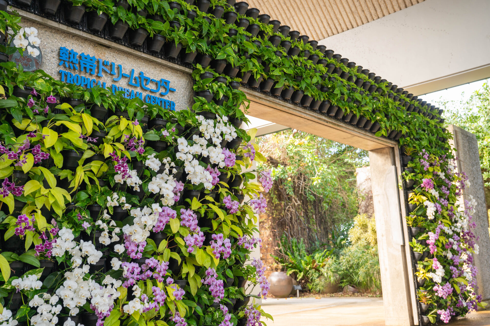 熱帯ドリームセンター　沖縄の自然と触れ合う癒しのスポット